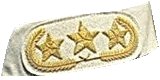 Confederate (C.S.) Generals Collar Insignia extra rich qm-1845