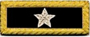 U.S. Shoulder Boards, Brigadier General: 1 Star
