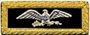 U.S. Shoulder Boards, Colonel