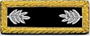 U.S. Shoulder Boards, Lieutenant Colonel