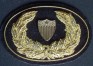 Civil War and Indian Wars Officers Hat and Cap Insignia