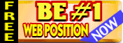 Web Position Gold - increase your search engine position & visitors counts (statistics)