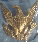 Staff  Helmet Plate