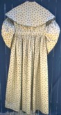 1830's to 1840's Day Dress with Pelerine, back. 19th Century