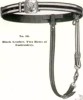 2-Row Gold Bullion Officer's Dress Sabre Belt: Schuyler Hartley Graham Catalog